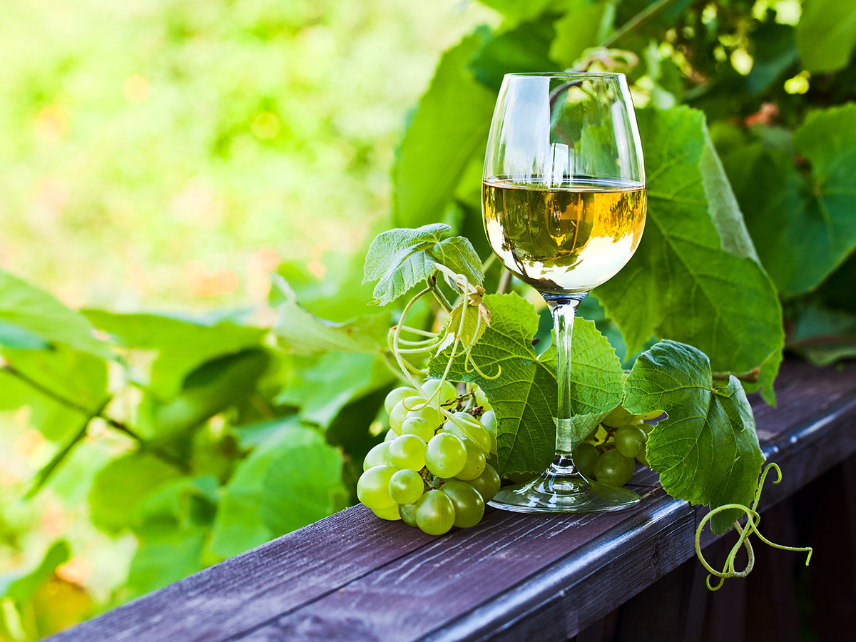 A Evolução dos Vinhos Orgânicos e Naturais