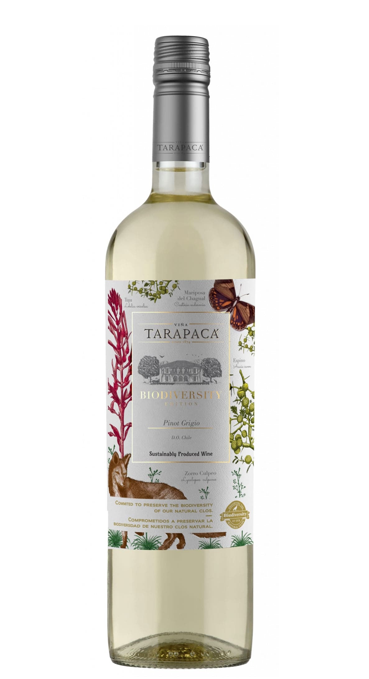 Vinho Tarapacá Biodiversity Edition Pinot Grigio