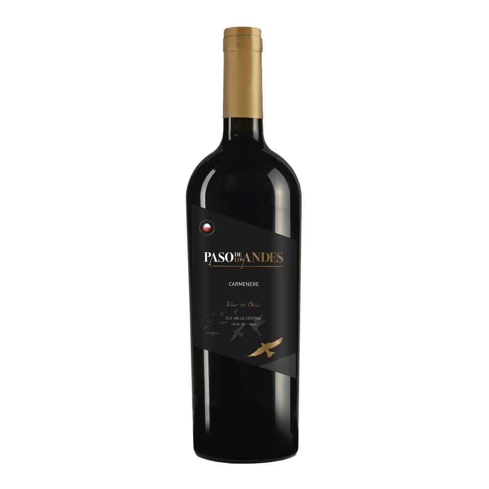 Vinho Paso De Los Andes Carmenere 750 ml